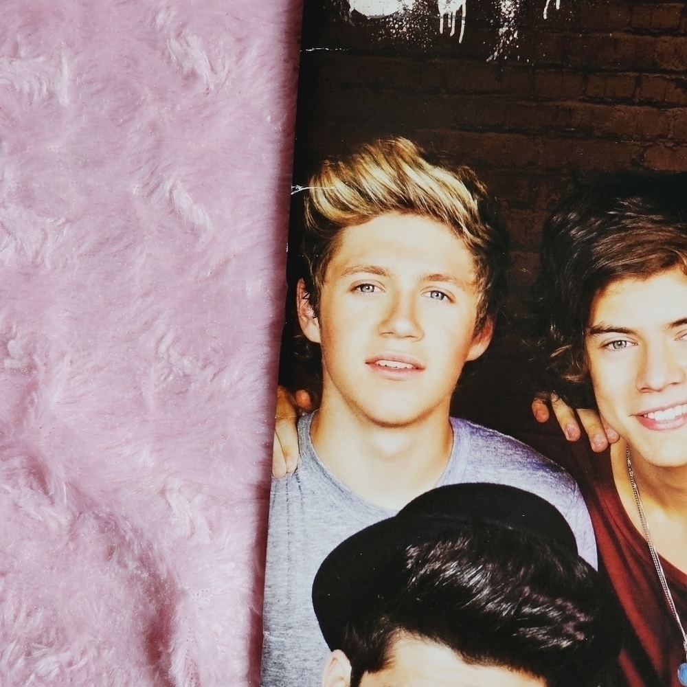 One Direction Tour 2013 Concert Program Book - Picture 5 of 7